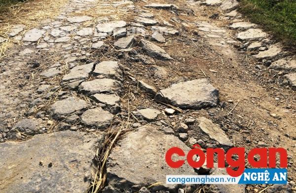 Quốc lộ 48C bị 'băm nát'