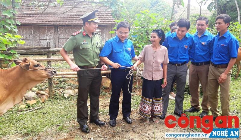 Trao bò giống cho đoàn viên nghèo ở huyện Quỳ Hợp