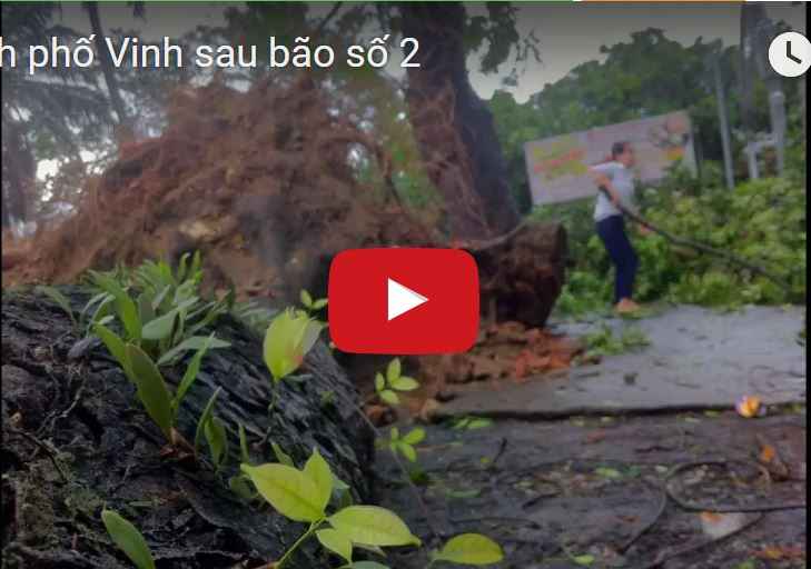 Thành phố Vinh sau bão số 2