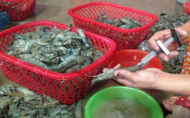Đưa tạp chất vào thủy sản: Mức phạt tăng 10 lần