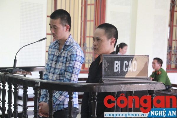 Buôn ma túy từ Hải Phòng vào Nghệ An, 2 kẻ lĩnh án