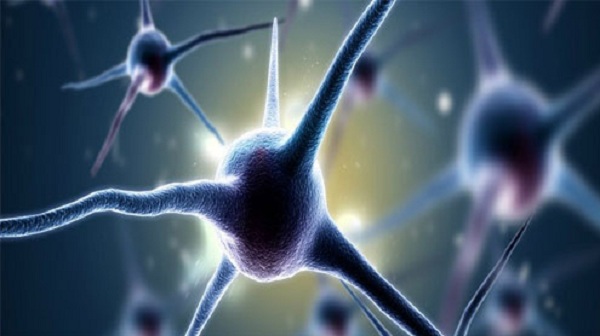 Sắp có thuốc phục hồi trí nhớ cho bệnh nhân Alzheimer