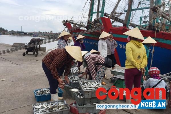Trong thời gian qua, công nghiệp chế biến nông - lâm - thủy, hải sản đã ổn định trở lại