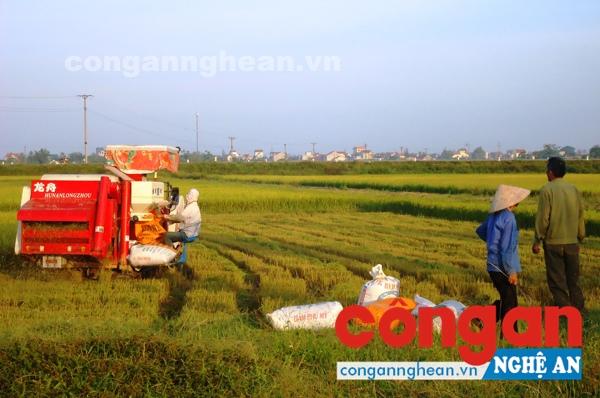 Xây dựng nông thôn mới: Chú trọng tiêu chí 'mềm'