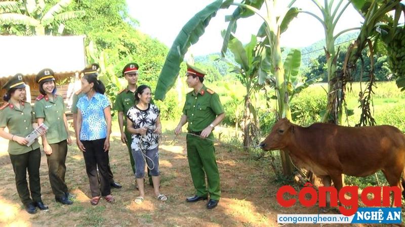 Trao tặng bò cho hộ nghèo tại xã Quế Sơn