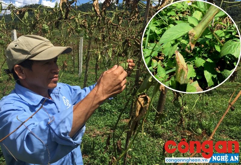 Thiệt hại kinh tế, ảnh hưởng môi trường đầu tư
