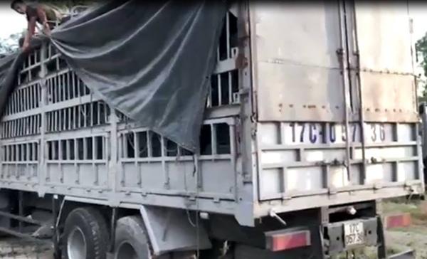 Tạm giữ 500 chiếc lốp ôtô không có giấy tờ hợp lệ