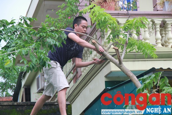 Nghệ An cấp tập chống bão số 10