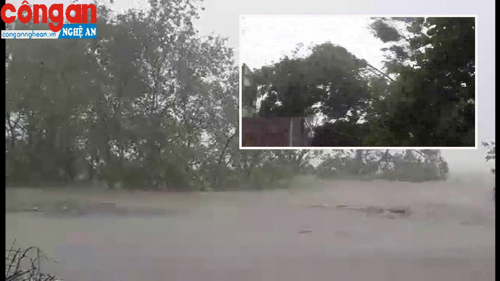 Nghệ An: Bão đổ bộ, nước sông dâng cao