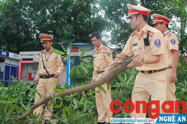 Chặt cây gãy đổ sau bão
