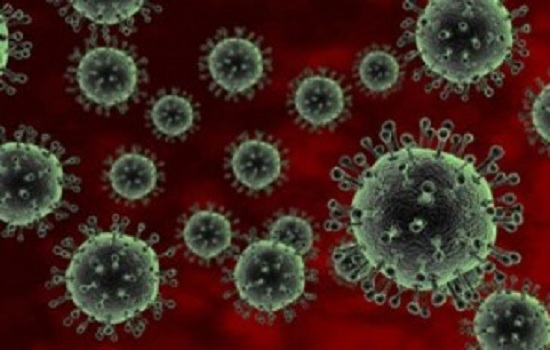 Sắp có vaccine cúm A/H5N1 'nội' cho gia cầm