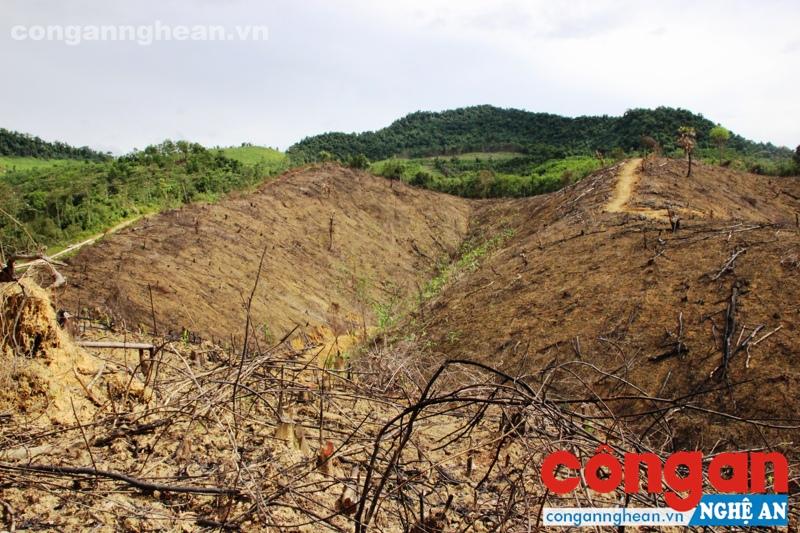 Khu tái định cư Khe Mừ đang bị tái lấn chiếm đất