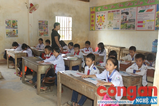 Trường Tiểu học Trần Trung Học có 211 học sinh chia làm 2 điểm trường