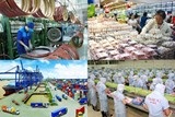 Kinh tế thế giới khởi sắc và cơ hội của Việt Nam