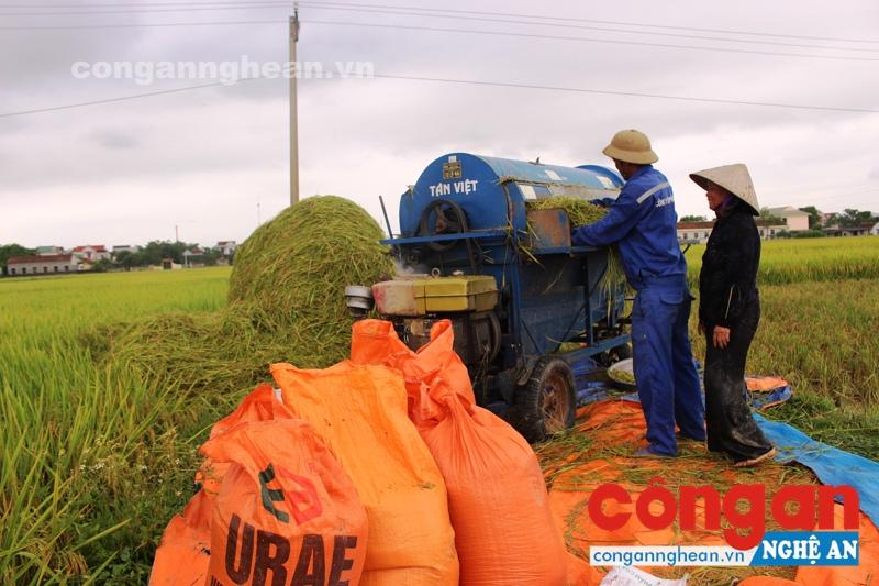 Lan tỏa phong trào thi đua yêu nước trong đồng bào Công giáo