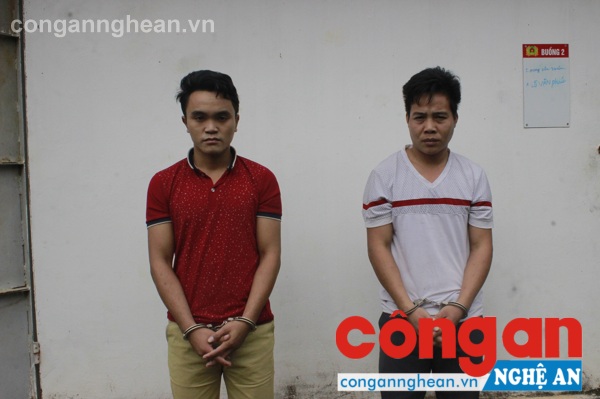 Khởi tố vụ án, bắt tạm giam 2 bị can chặt phá chanh leo dự án tại Tri Lễ
