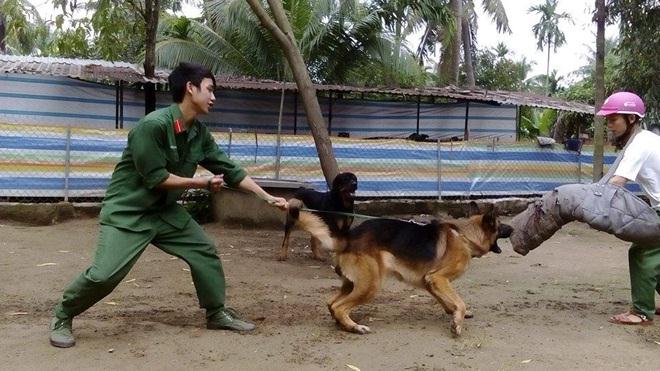 Hốt bạc nghề dạy thú cưng