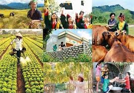 Điều chỉnh một số nội dung Chương trình MTQG xây dựng NTM