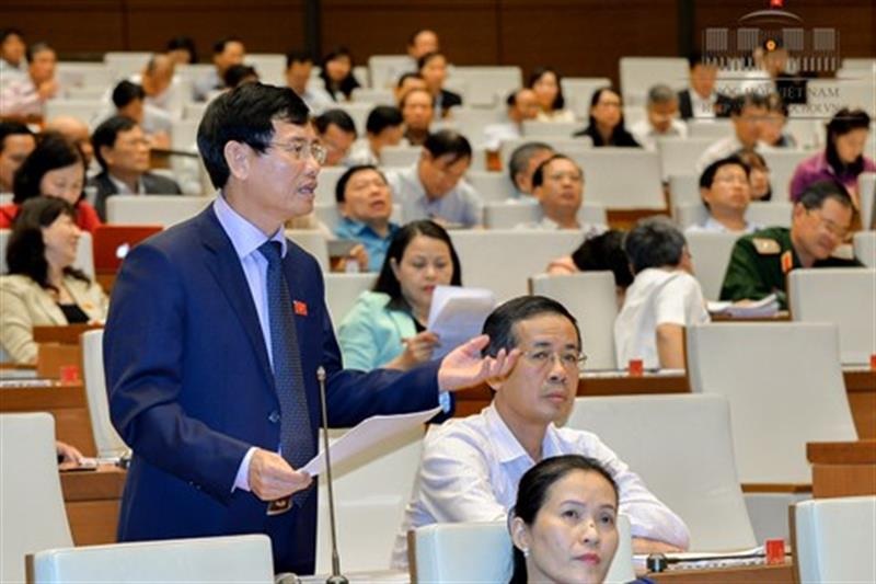 Đại biểu Quốc hội Nguyễn Ngọc Phương phát biểu tại hội trường