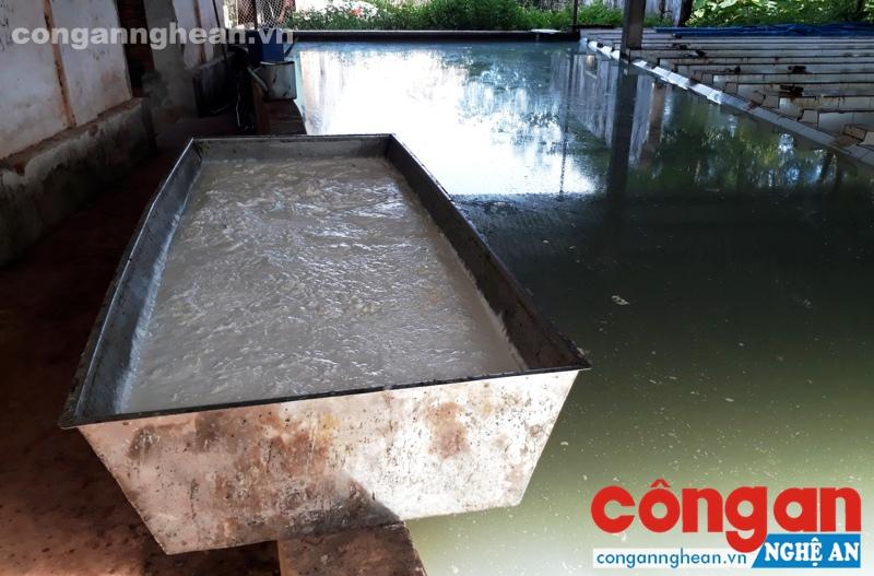 Nhà máy chế biến mủ cao su gây ô nhiễm