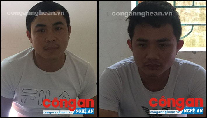 Ổ nhóm chuyên trộm chó sa lưới