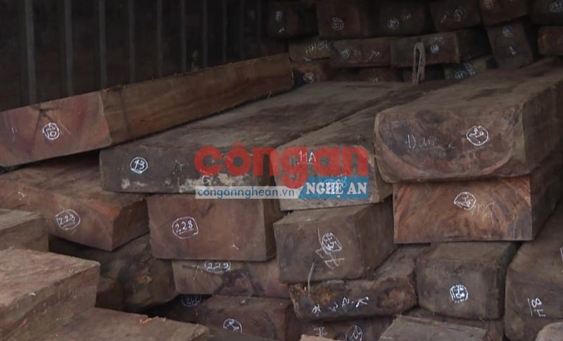 Gỗ các loại bị thu giữ