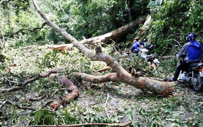 Để vào bản dạy học, nhiều giáo viên ở Quảng Bình đã phải vượt qua những cung đường, khe suối hết sức vất vả.