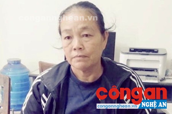 Tú bà sa lưới