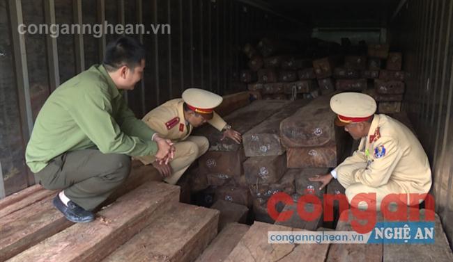Phát hiện vụ vận chuyển số lượng lớn gỗ trái phép