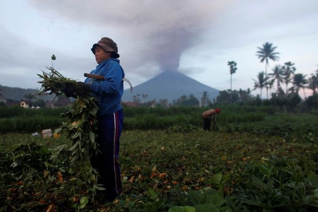 Những người dân được yêu cầu buộc phải sơ tán khỏi khu vực núi Agung. Ảnh: Reuters