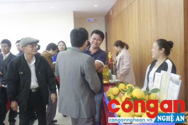Sản phẩm Cam Vinh tại gian trưng bày