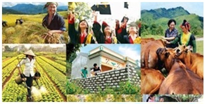 Chỉ đạo, điều hành của Chính phủ, Thủ tướng Chính phủ nổi bật tháng 11/2017