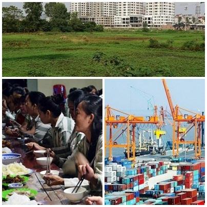 Ban hành 12 văn bản QPPL trong tháng 11/2017