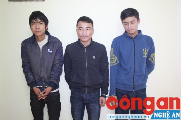 Bắt nhóm chuyên trộm gỗ tại các xưởng cưa