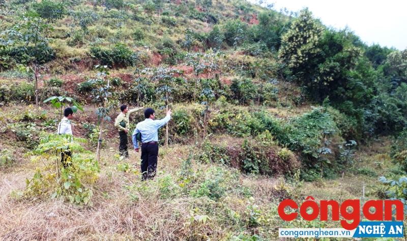 Cần sớm điều chỉnh các chính sách, quy định của pháp luật liên quan đến công tác giao đất, giao rừng đảm bảo phù hợp với thực tế