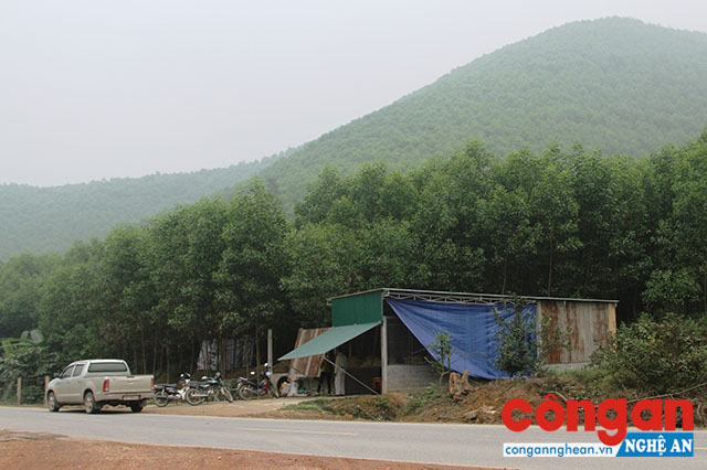 Địa điểm tranh chấp đất rừng, cũng là nơi chủ rừng bị hành hung