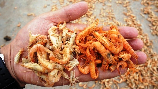 Tôm khô 'ngậm' hóa chất