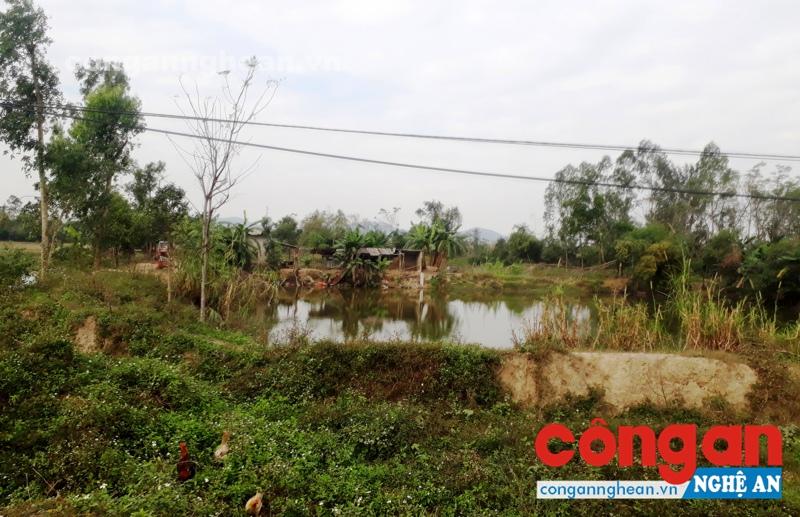 Diện tích đất hai lúa của 16 hộ dân