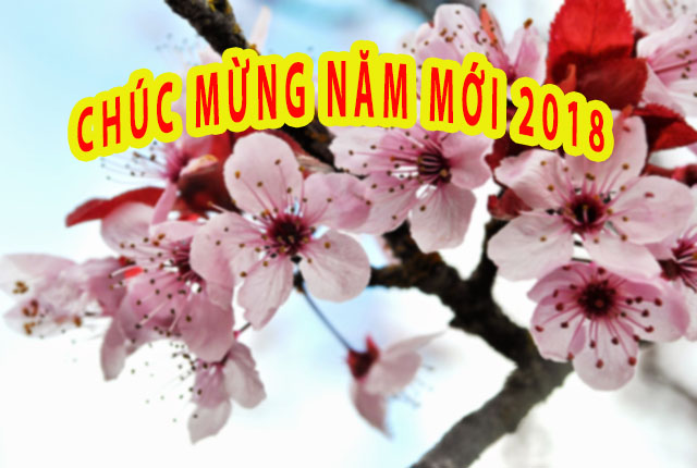 Xuân mới, sinh khí mới!