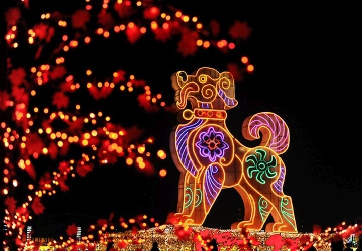 Chiếc đèn lớn hình con chó- tượng trưng cho năm Mậu Tuất 2018- tại tỉnh Liêu Ninh, Trung Quốc. Ảnh: Reuters