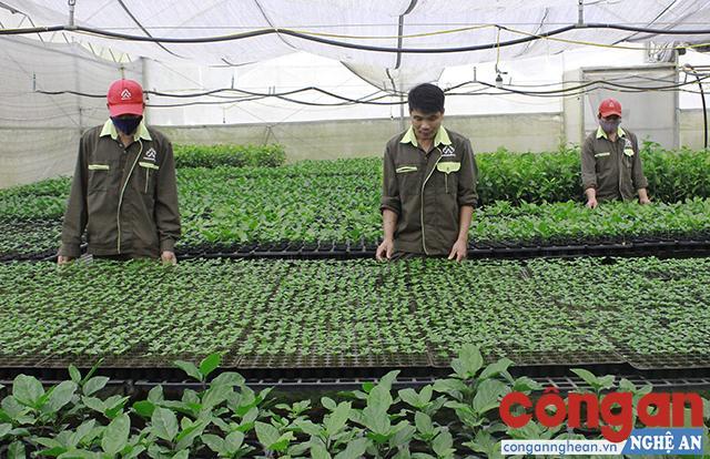  Việc ứng dụng công nghệ cao vào sản xuất góp phần quan trọng nâng cao hiệu quả sản xuất