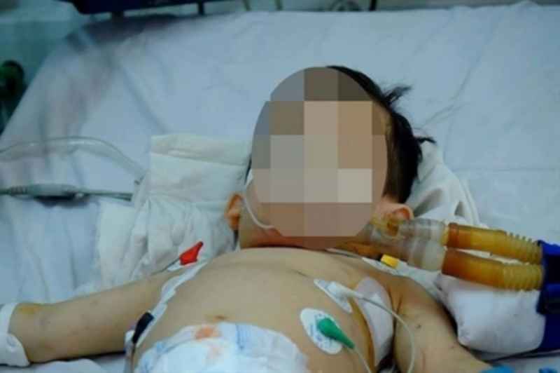 Cẩn thận với thú cưng