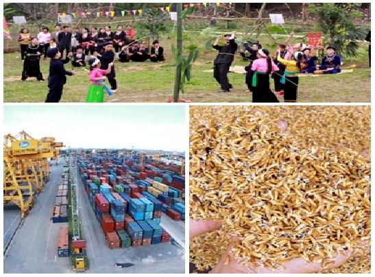 Chỉ đạo, điều hành của Chính phủ, Thủ tướng Chính phủ nổi bật tuần
