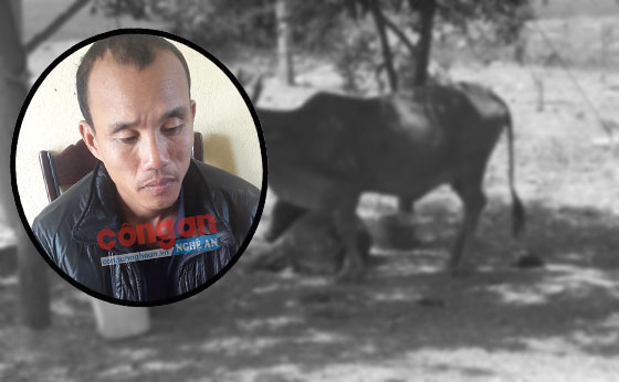 Khám phá chuyên án trộm 'đầu cơ nghiệp'