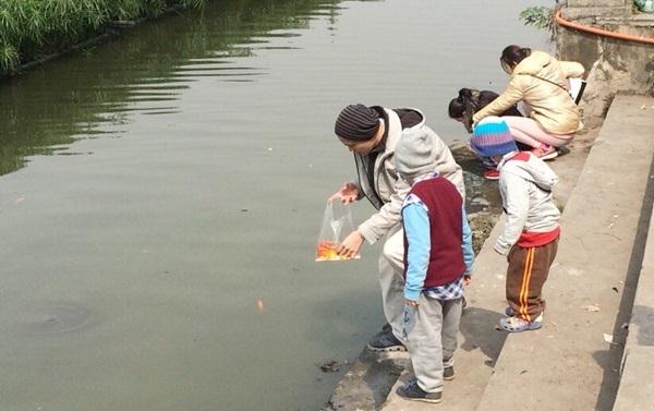 'Phóng sinh' cá chép: Nét đẹp văn hóa tâm linh của người Việt