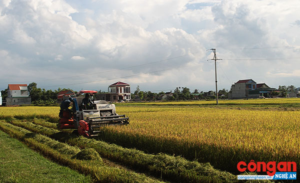 Bức tranh đổi thay tại nhiều miền quê khi có sự chung tay bà con Công giáo