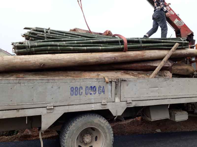 Cơ quan chức năng tịch thu tang vật