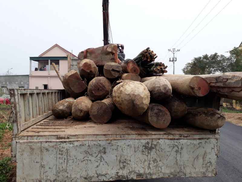 Vụ việc giao cho Kiểm Lâm nghĩa đàn xử lí