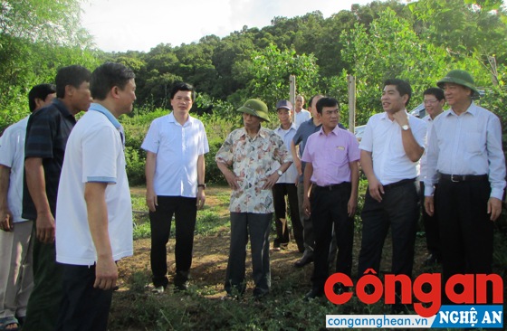 Xây dựng huyện Con Cuông sớm trở thành thị xã theo hướng đô thị sinh thái