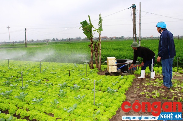 Nhiều mô hình sản xuất thực phẩm an toàn góp phần quan trọng đẩy lùi vấn nạn thực phẩm “bẩn”